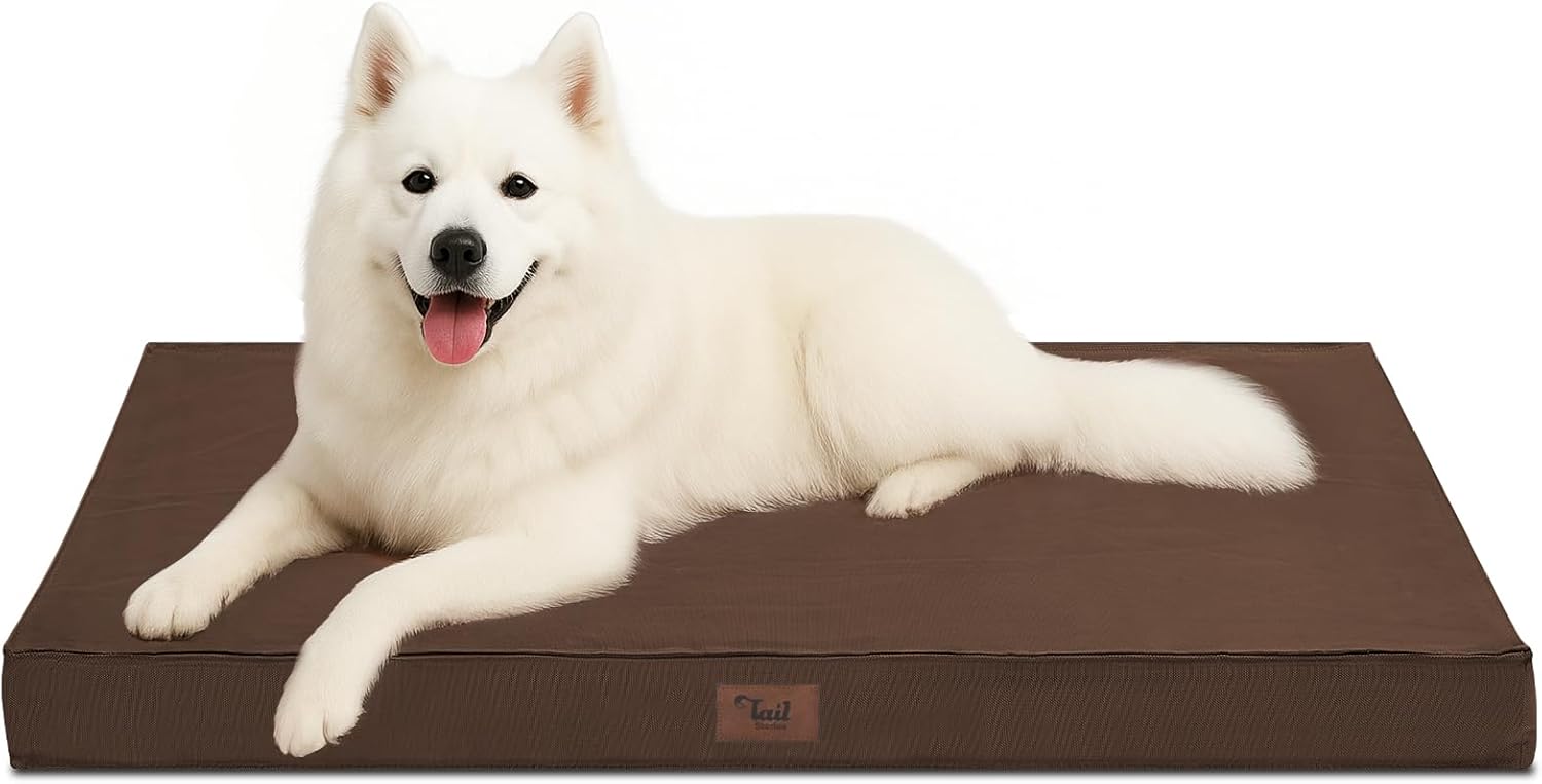 Outdoor Large Dog Bed by Tail Stories for Ultimate Comfort