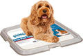 Pawise Dog Pee Pad Holder Tray - Secure Indoor Potty for Puppies
