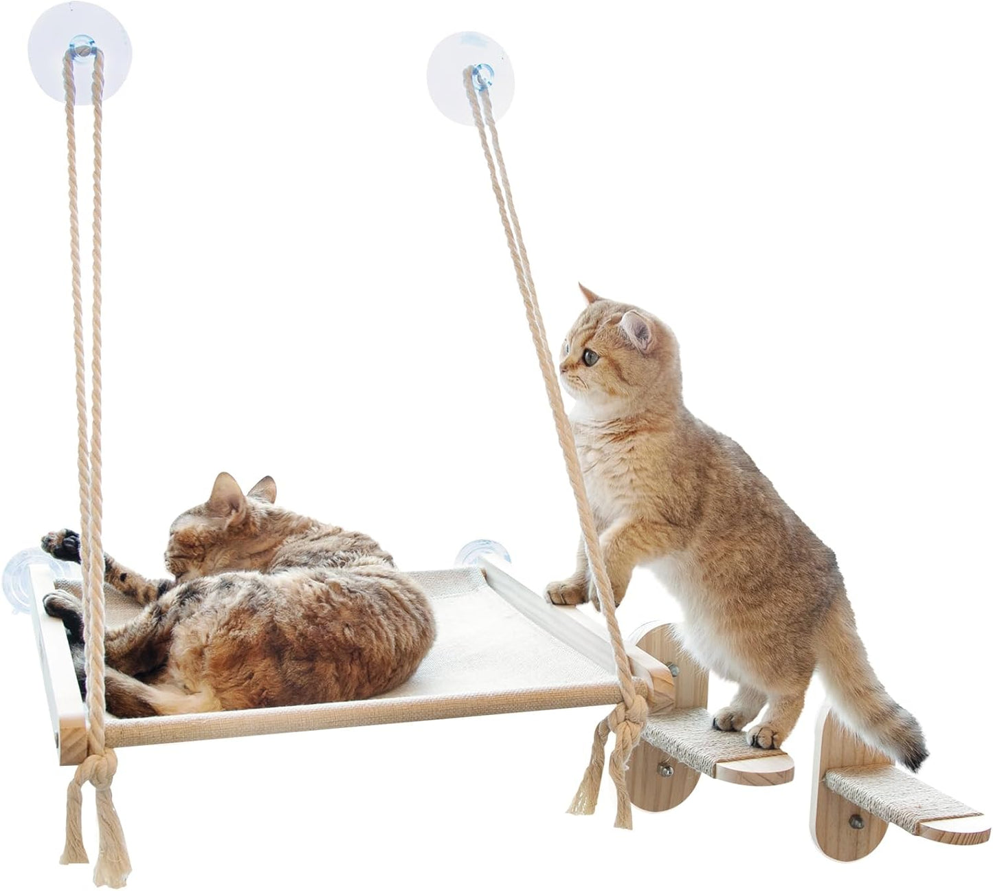 Cat Window Perch with 2 Steps for Indoor/Outdoor Cats