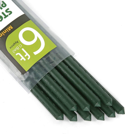 Mininfa Steel Plant Stakes 6 Feet for Garden Support and Growth
