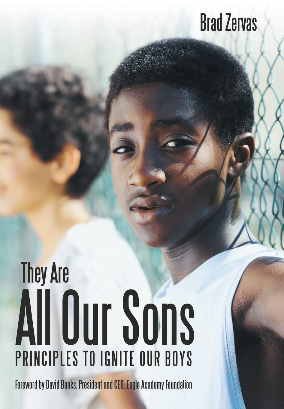 They Are All Our Sons: Principles to Ignite Our Boys Review