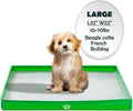 Dog Pee Pad Holder Foldable 33x22 in - High Side Leakproof Liner