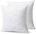Phantoscope Outdoor Pillow Inserts 20 x 20 in - Pack of 2