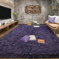 Tepook Super Soft Fluffy Rug 5 x 8 ft - Plush Modern Shaggy Area Rug