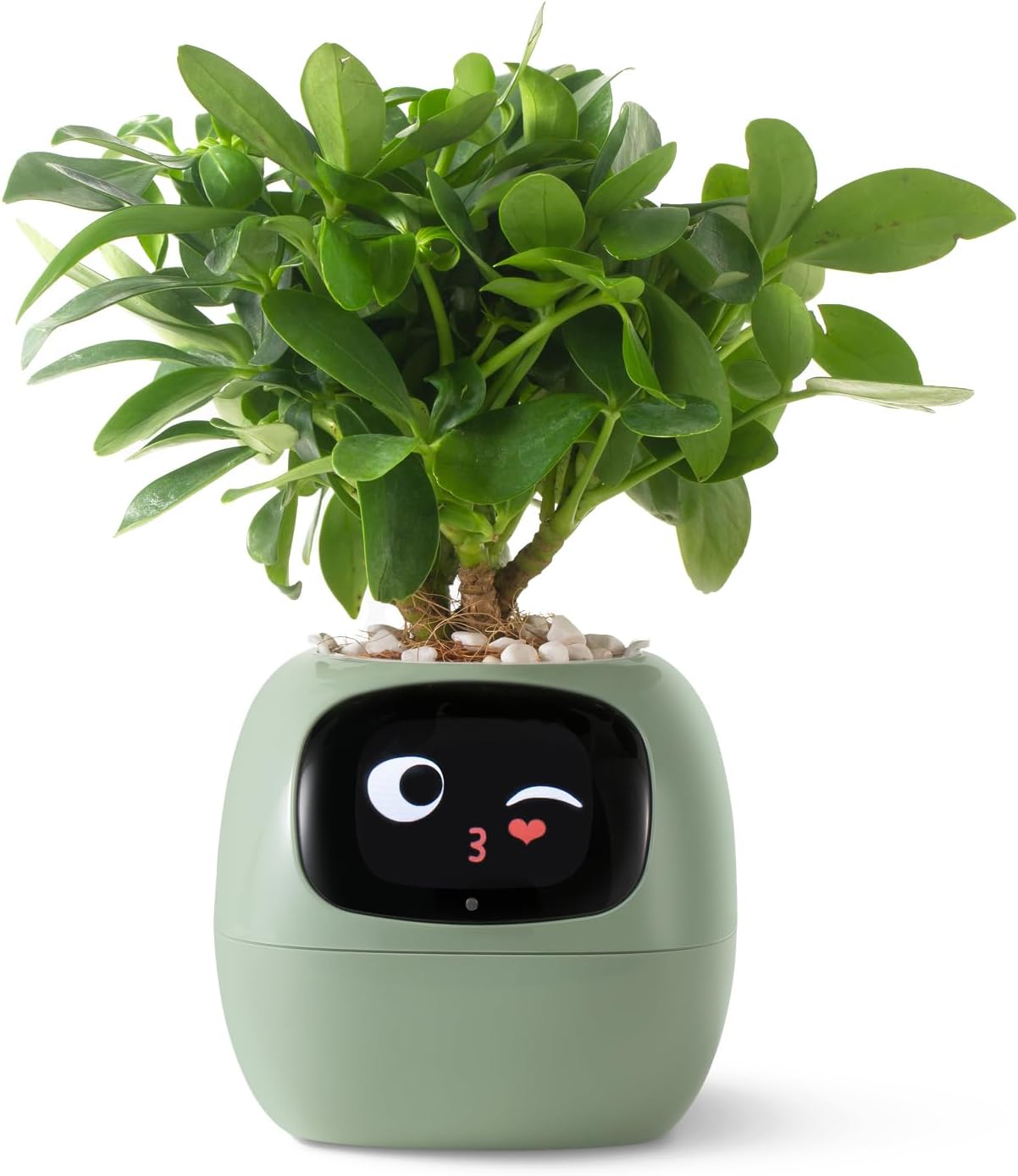 Smart Plant Robot Companion for Effortless Plant Care and Growth