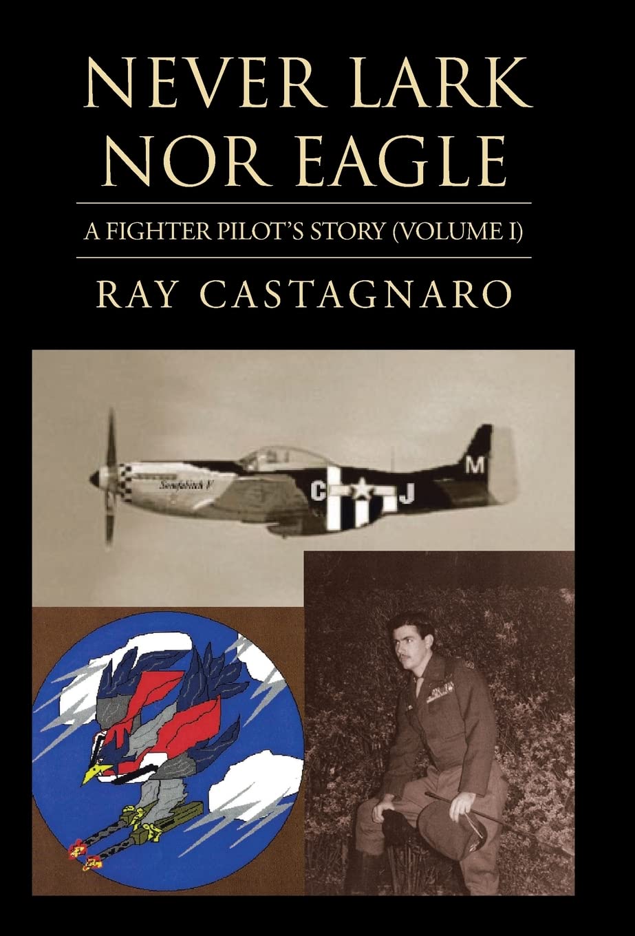 Never Lark nor Eagle: A Fighter Pilot's Story - Volume I Review