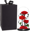 Perfectione Roses Preserved Rose in Glass Dome, Red - Thoughtful Gift