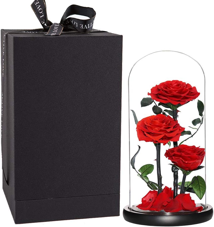 Perfectione Roses Handmade Preserved Rose in Glass Dome Gift