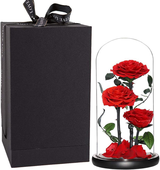 Perfectione Roses Handmade Preserved Rose in Glass Dome Gift