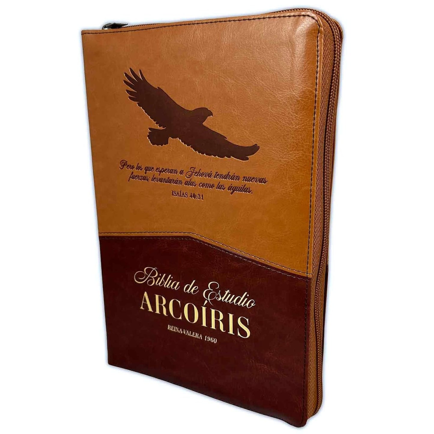 Biblia Pastoral de Estudio Arco Iris con Cierre Reina Valera 1960