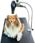 SHELANDY Pet Dog Grooming Table Arms Hair Dryer Holder - Hands Free