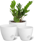 Self Watering Plant Pots 3 Pack (9/10/12 in) - Low-Maintenance