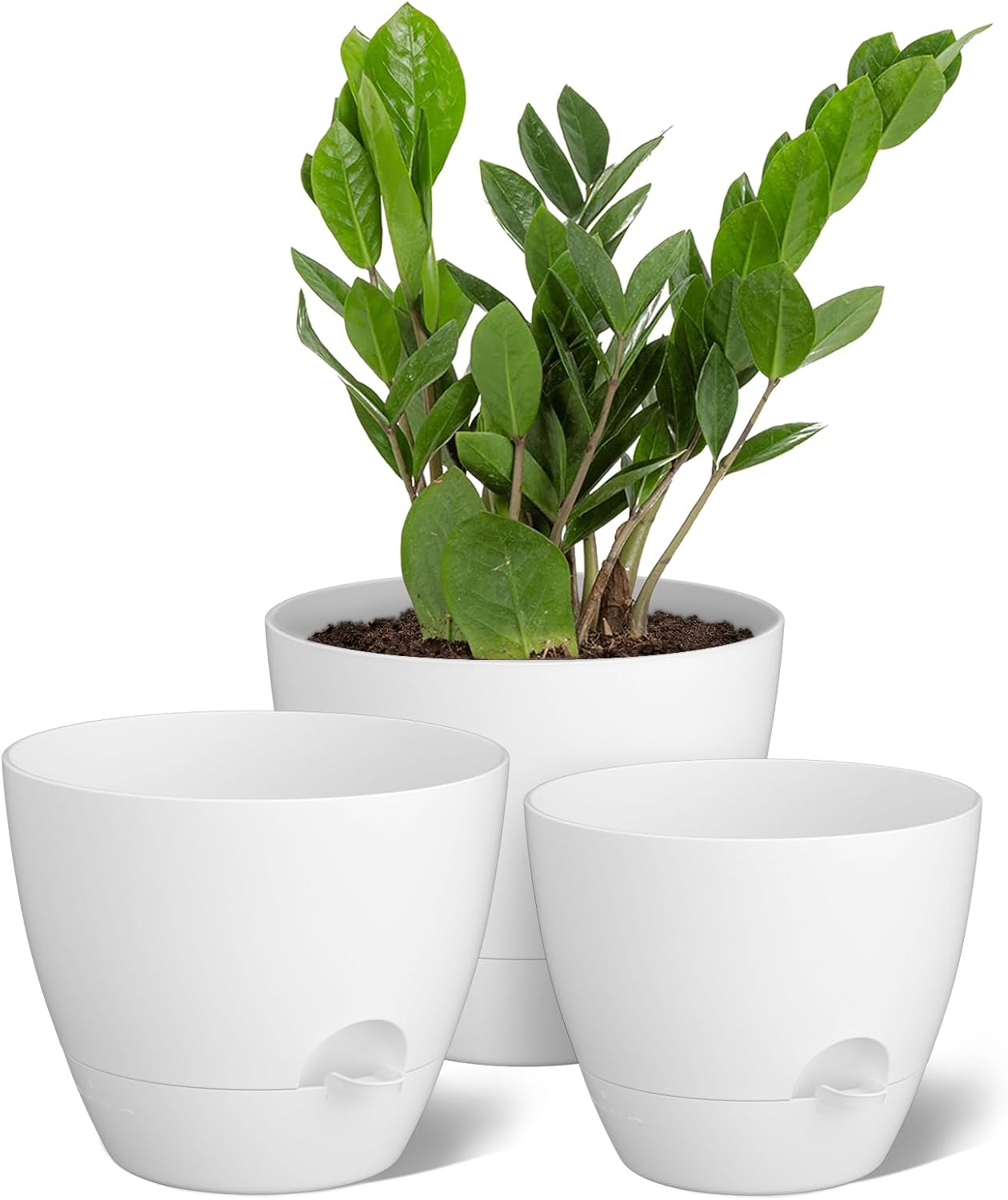 Self Watering Plant Pots with Drainage Holes for Indoor Use