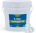 Rx Clear 1 in Chlorine Tabs 8 lb - Slow Dissolving Pool Sanitizer