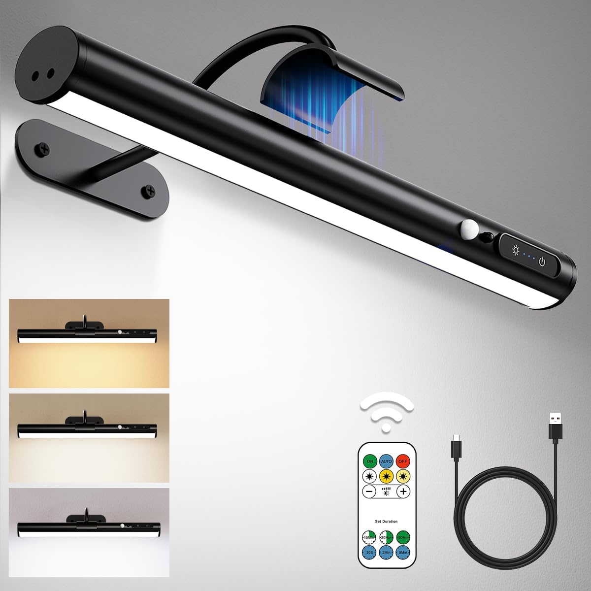 Hapfish Motion Sensor Battery Operated Wall Sconce for Art