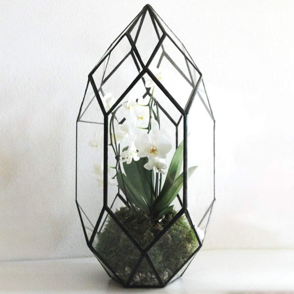 Ferrisland Handmade 10in Large Glass Terrarium for Indoor Plants
