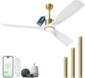 60 in Modern White and Gold Ceiling Fan with Lights - Smart Alexa