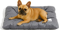 FUNNY FUZZY 30x20 Washable Dog Bed Crate Mat - Dual-Side Comfort