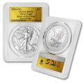 2024 (W) 1 oz American Silver Eagle Coin MS-70 - First Strike