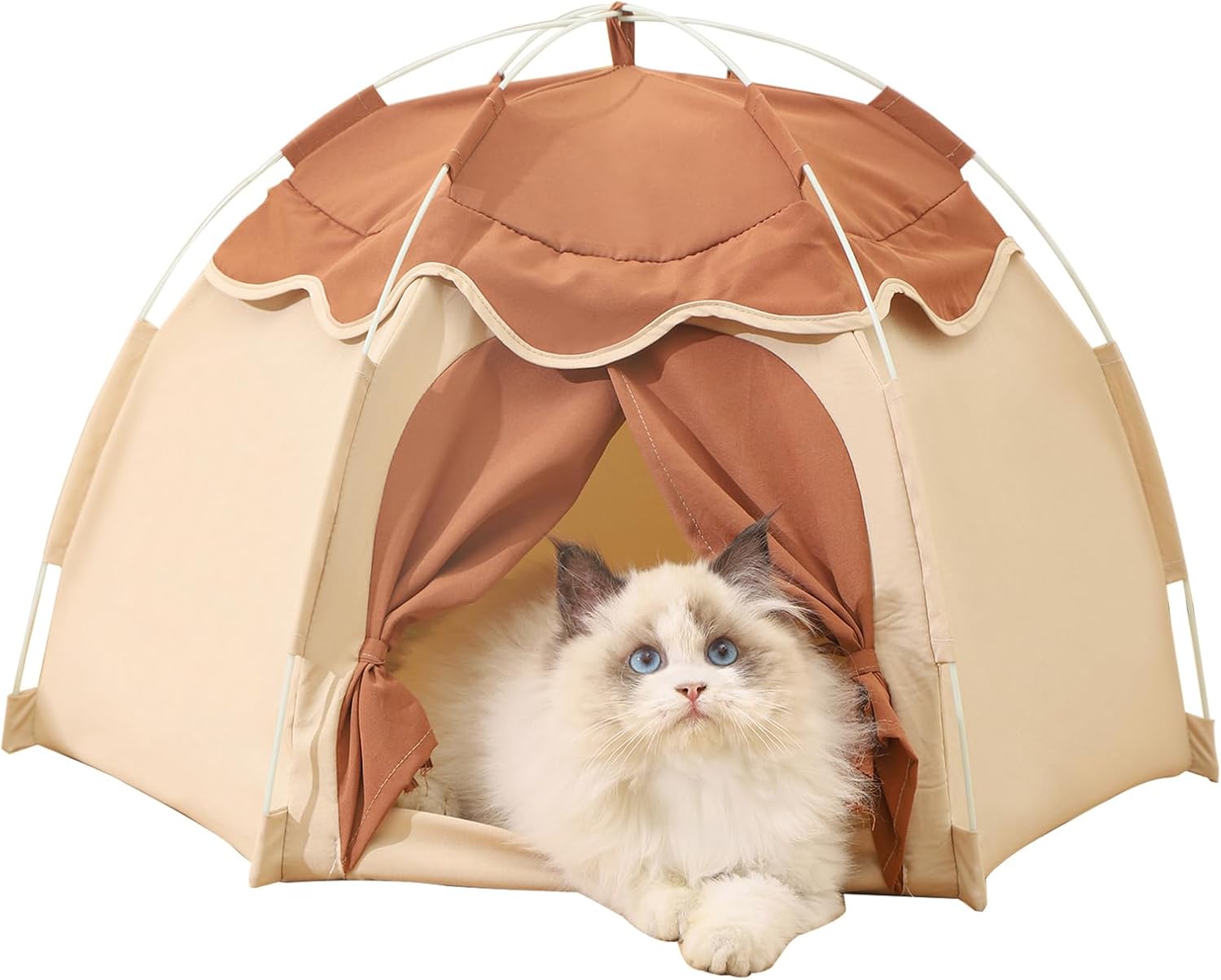 Gigreinc Cozy Cat Tent: Perfect Pet Retreat