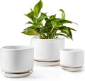LE TAUCI Plant Pots Indoor Set of 3 - Ceramic Planters with Drainage