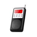 Spirit Box for Ghost Hunting - Real-Time Paranormal Detector