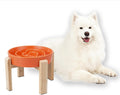 Elevated Slow Feeder Dog Bowl - Raised Ceramic Slow Feeder for Medium