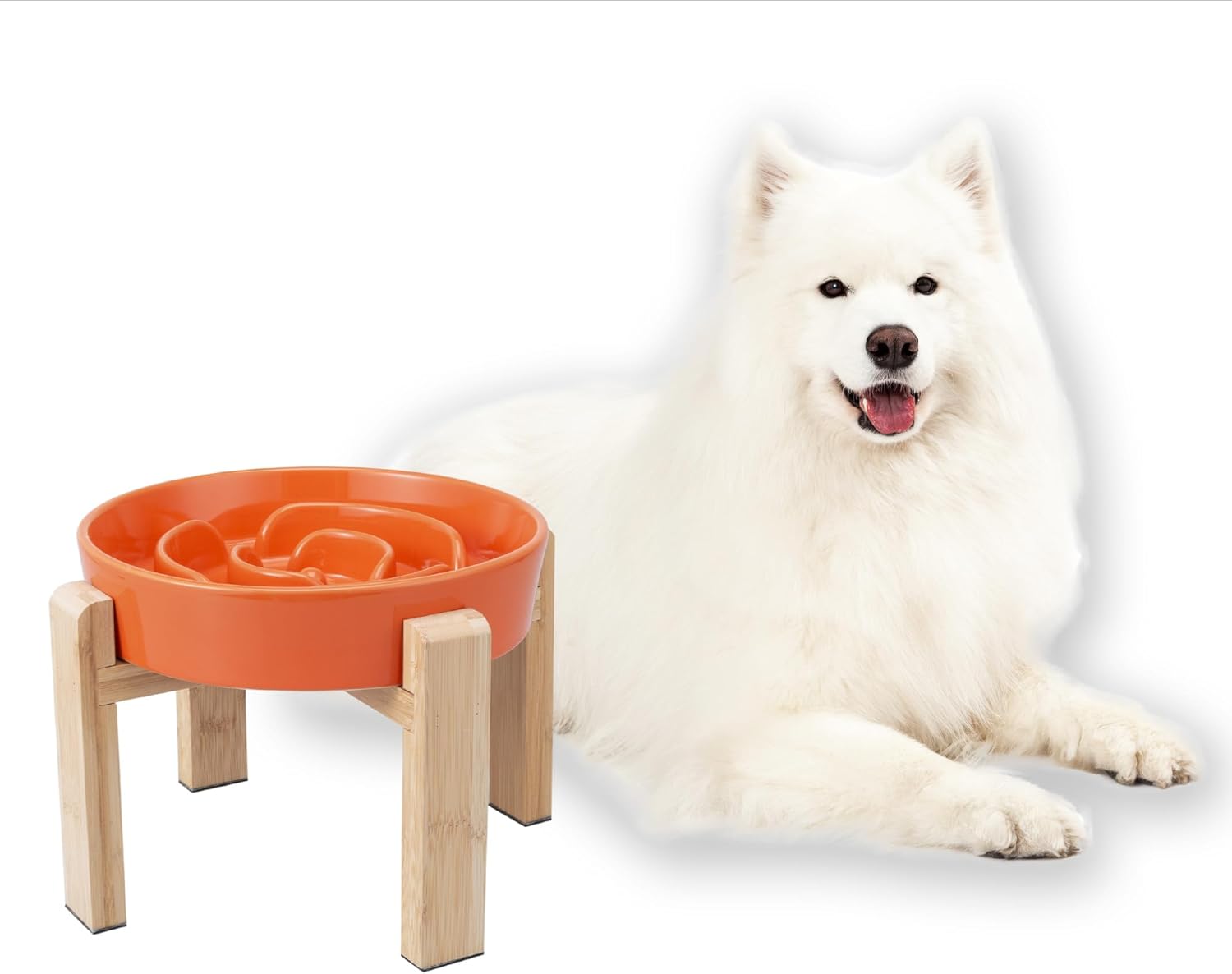 Elevated Slow Feeder Dog Bowl - Puzzle Maze Dish for Dogs