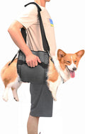 COODEO Dog Carry Sling - Supportive Lift Harness for Senior Dogs