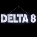30in x 10in Large LED Delta 8 Sign for Business - Super Bright Window