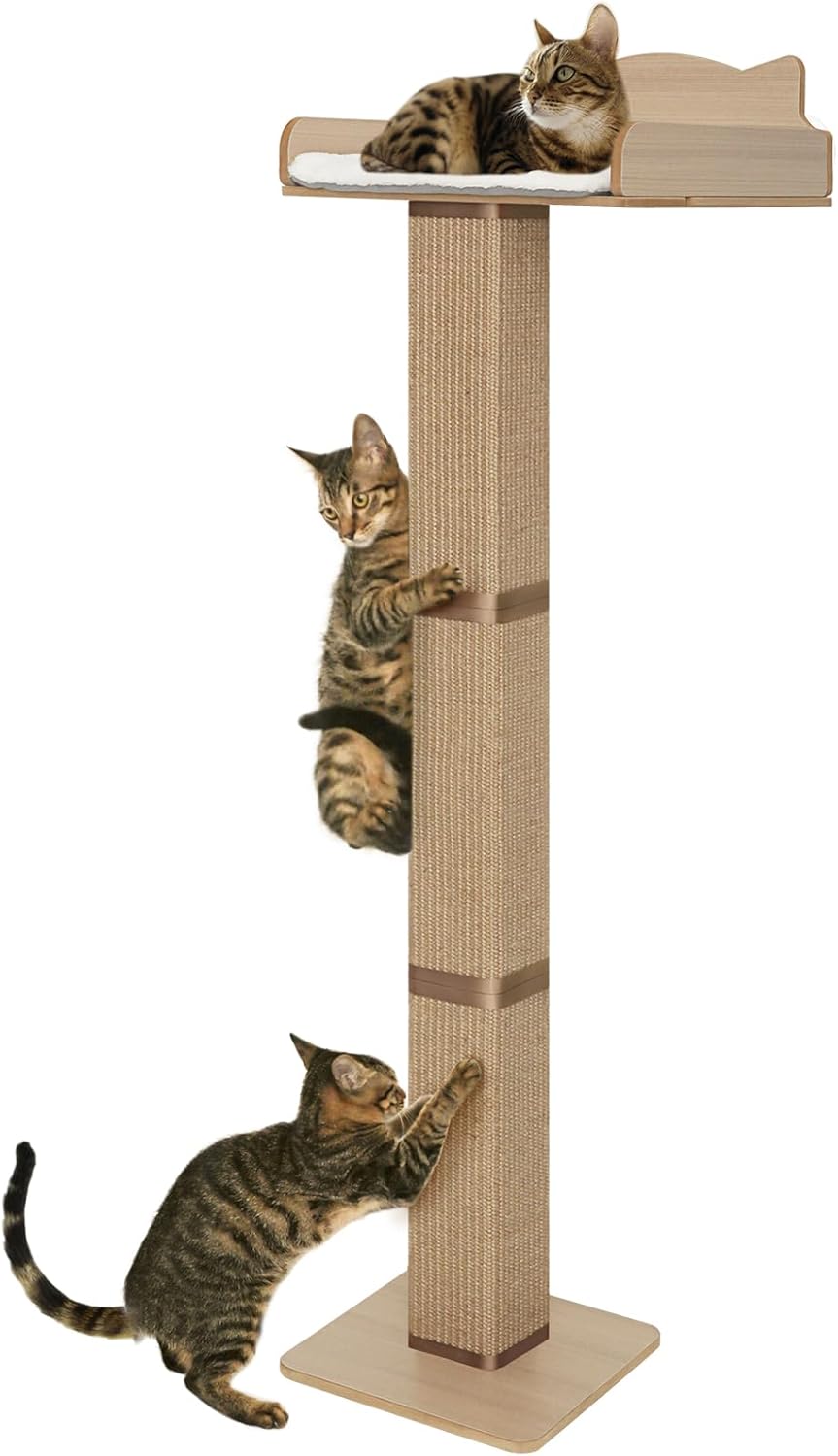 Cat Window Perch with Thick Sisal Scratching Post for Cats