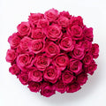 GlobalRose Fresh Cut Hot Pink Roses - 75 Stems Bouquet