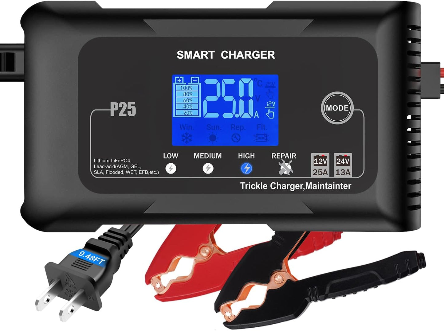 25A Battery Charger for 12V/24V Lithium and Lead Acid Batteries