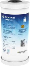 Pentair OMNIFilter TO8 Carbon Water Filter for Clean Water