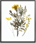 Floating Picture Frame 16x20 Black Aluminum Metal Frame - Real Glass
