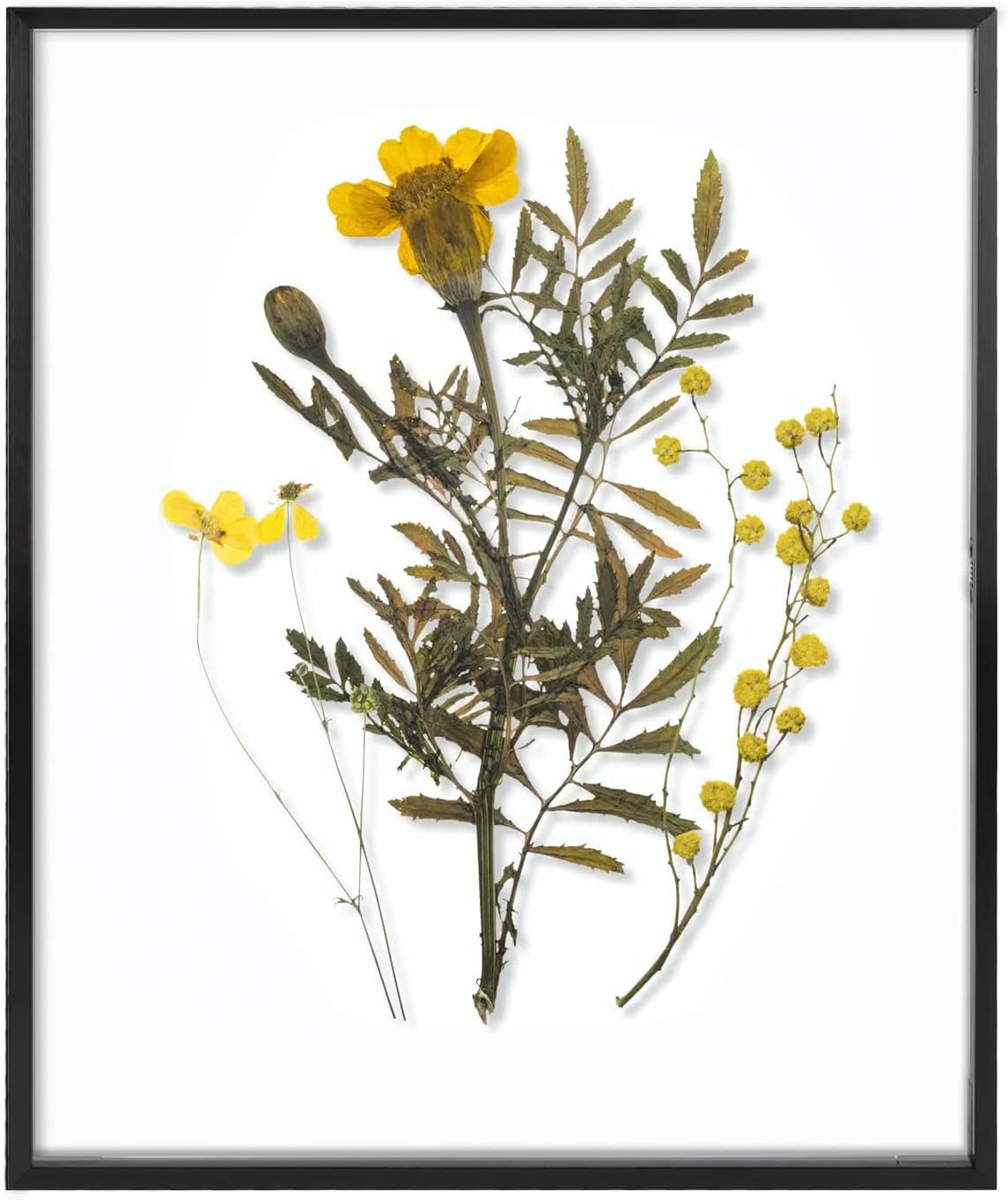 Frametory Floating Picture Frame 16x20 for Elegant Displays