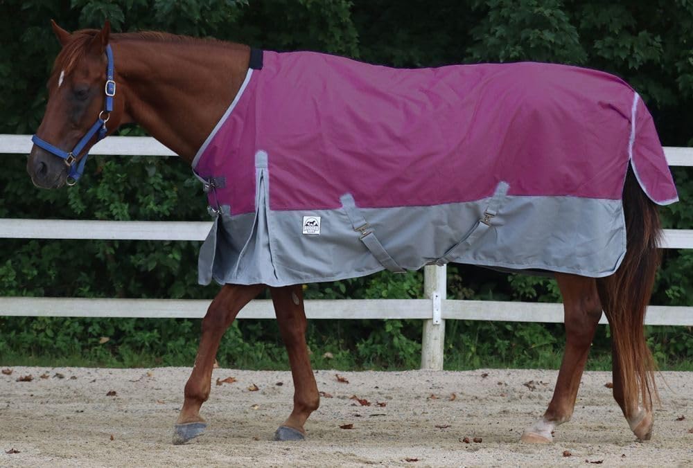 1200 Denier Heavyweight Waterproof Turnout Blanket for Horses