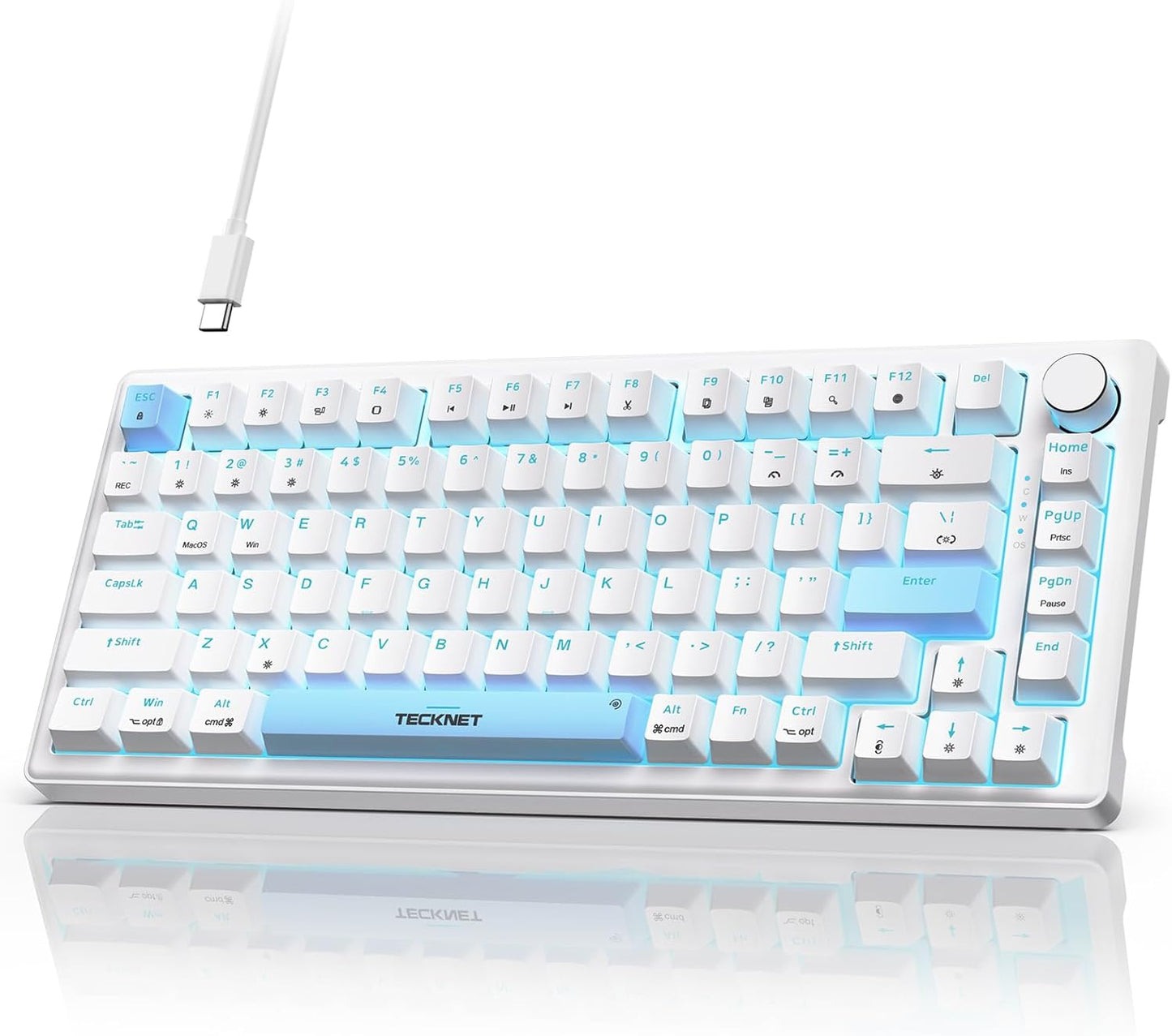 TECKNET RGB Backlit Gaming Keyboard