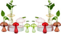 Mushroom Jars for Plants Propagation Vases - Hand-Blown Glass Decor