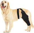 Dog Rear Leg Sleeve by Joypig for Post-Surgery Recovery