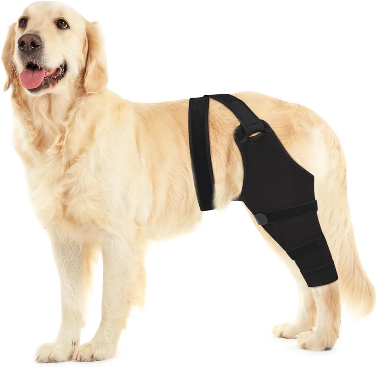 Dog Rear Leg Sleeve by Joypig for Post-Surgery Recovery