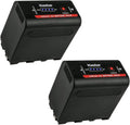 Kastar Magic NP-F980Exp Battery 2-Pack - USB Chargeable, Long Run Time