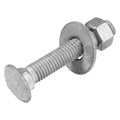 3/8 in x 2 in (50 Pack) Galvanized Carriage Bolt Kit - Exterior Use