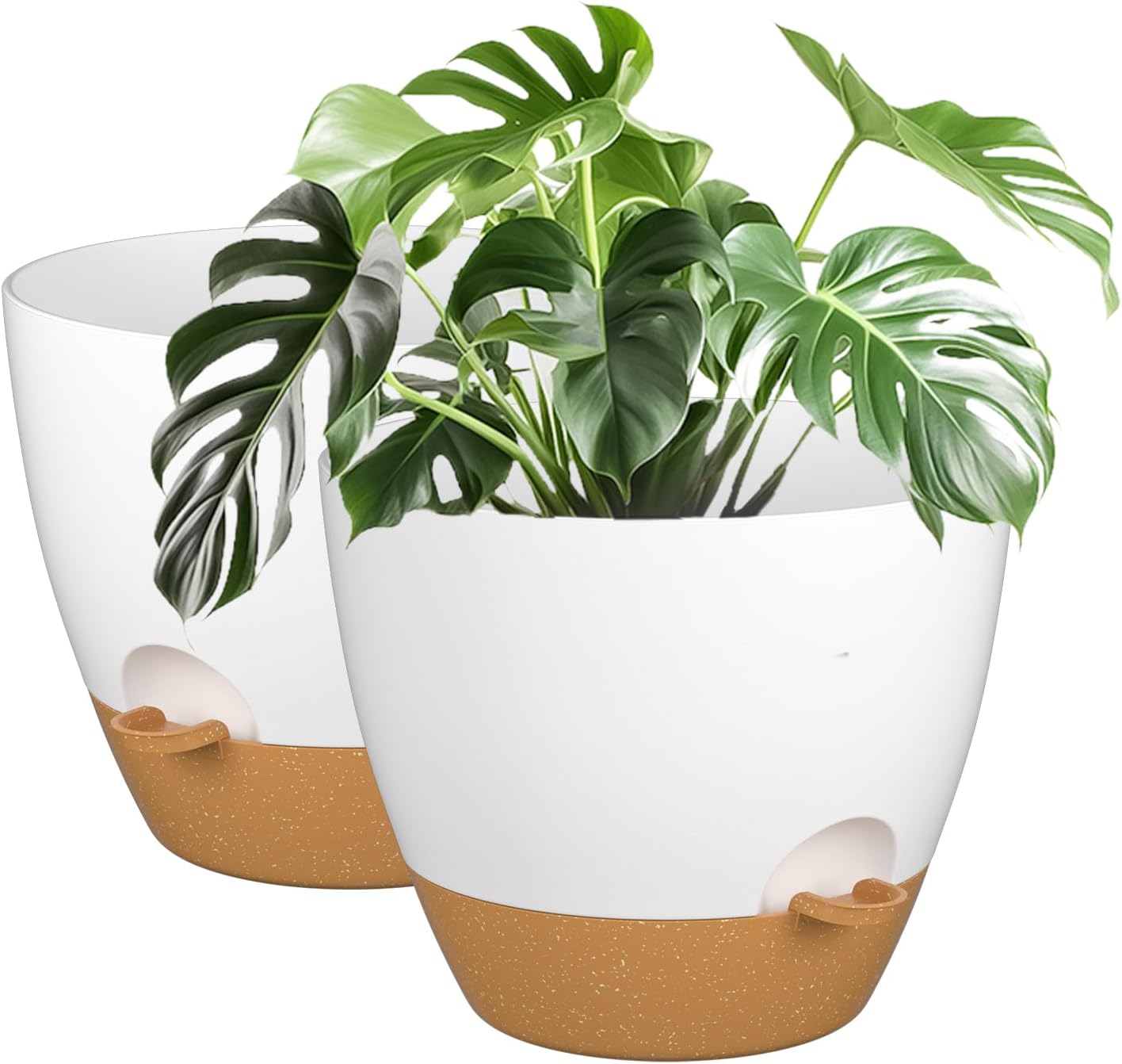 Self Watering Plant Pot Set for Indoor and Outdoor Use