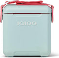 Igloo 11 Qt Strap Picnic Cooler - Portable Perfection