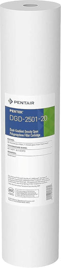 Pentair Pentek DGD-2501-20 Big Blue Water Filter Review