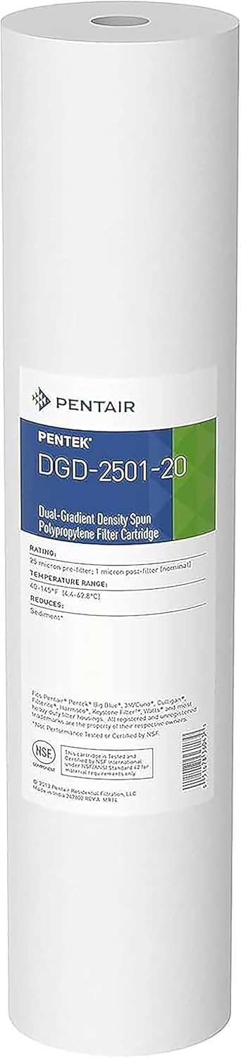 Pentair Pentek DGD-2501-20 Big Blue Water Filter Review