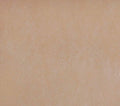 Concrete Stain Concentrate Just Add Water - Semi-Transparent Buff