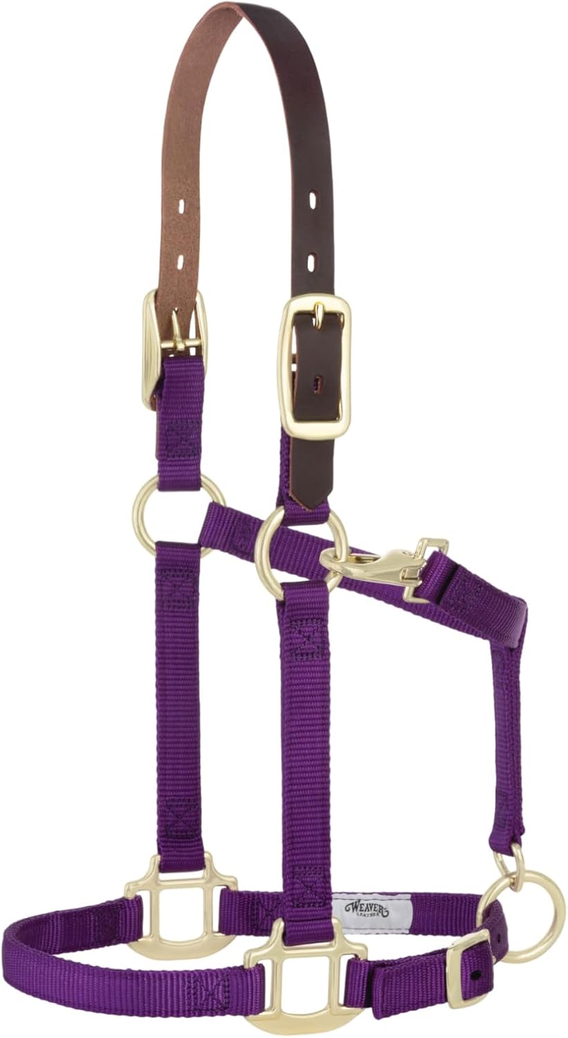 Breakaway Horse Halter with Supple Leather Crown for Horses