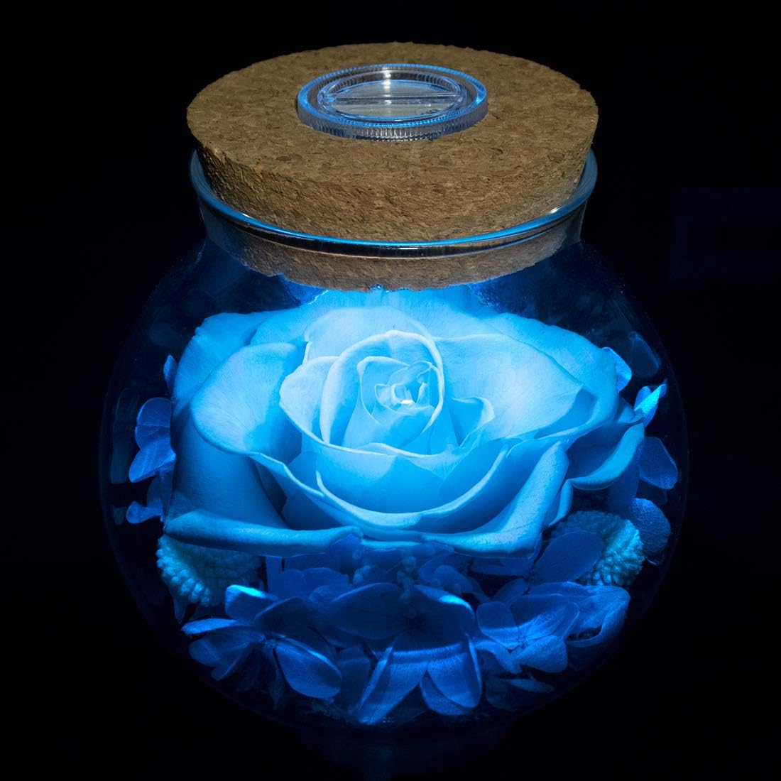 Preserved Real Roses with Colorful Mood Light Wishing Bottle